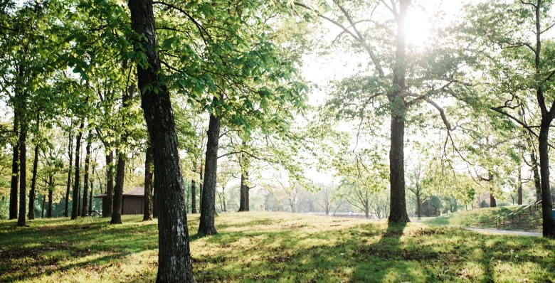 Paris Landing State Park in TN