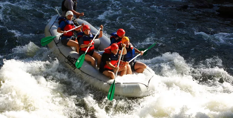 Rafters going over a wave on the Ocoee River.