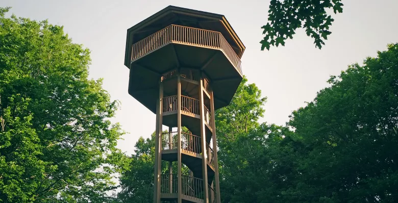 Water Adventures at Edgar Evins State Park
