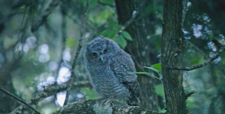 Water Adventures at Edgar Evins State Park