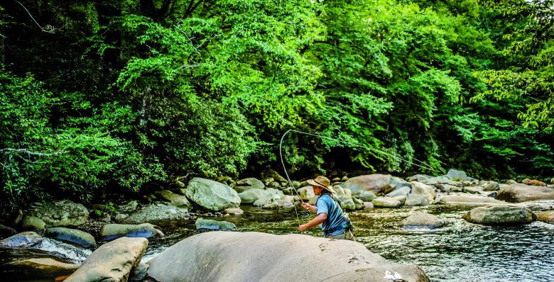 Fly fishing in Great Smoky Mountains National Park, TN