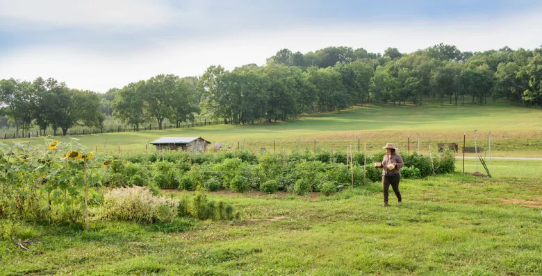 Southall Farm and Inn in rural Franklin, TN