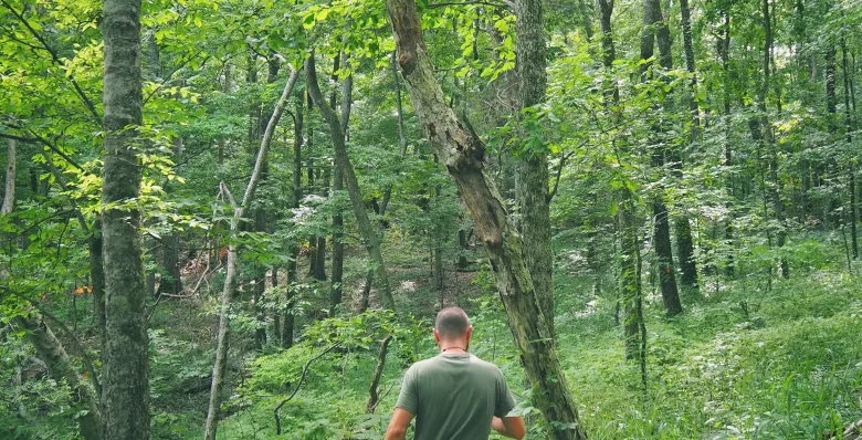 Water Adventures at Edgar Evins State Park