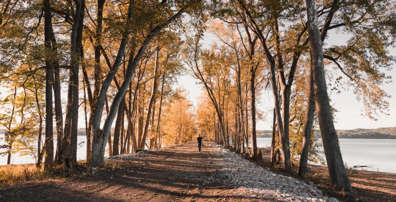 Johnsonville State Historic Park in New Johnsonville TN