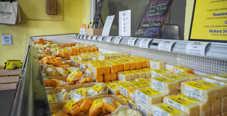 Endless cheeses at Sweetwater Valley Farm, Philadelphia TN