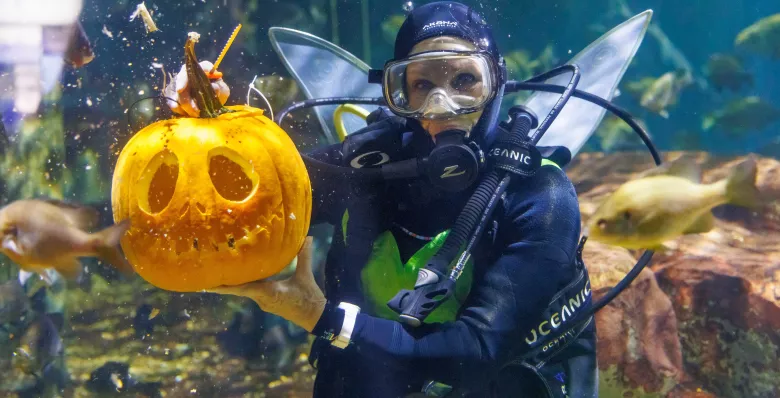Tennessee Aquarium in Chattanooga, TN