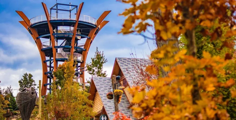 AnaVista observation tower surrounded by golden fall foliage at Anakeesta.