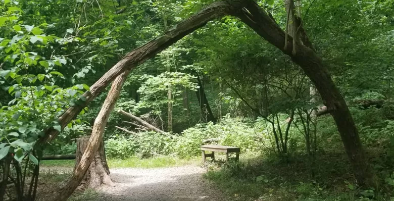 Wooded hike in Radnor Lake State Park in Nashville TN