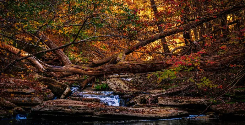 Montgomery Bell State Park in Burns TN
