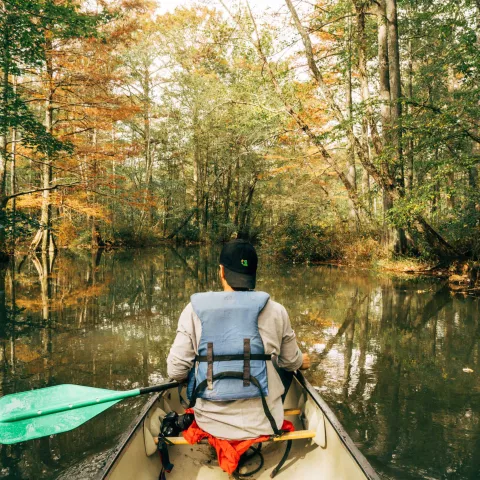 Ghost section of the Wolf River, Tennessee