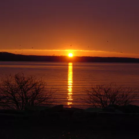 A beautiful sunset over Kentucky Lake at Paris Landing State Park.
