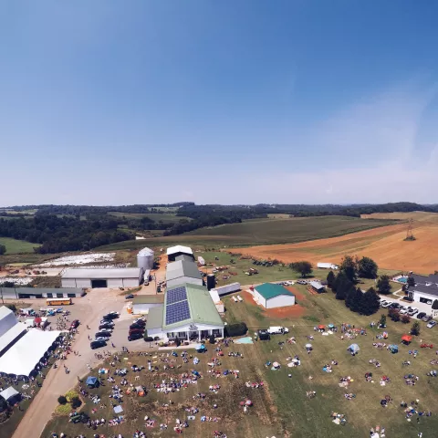 farm, dairy, agriculture, tours, farming, cows