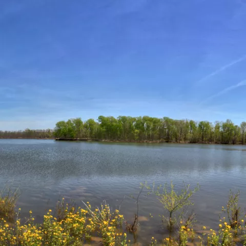 Kentucky Lake